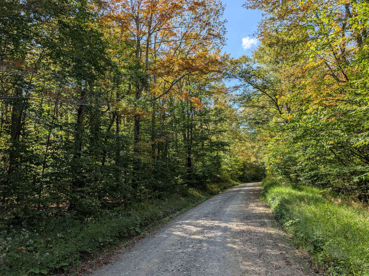 Middle Mountain trail photo