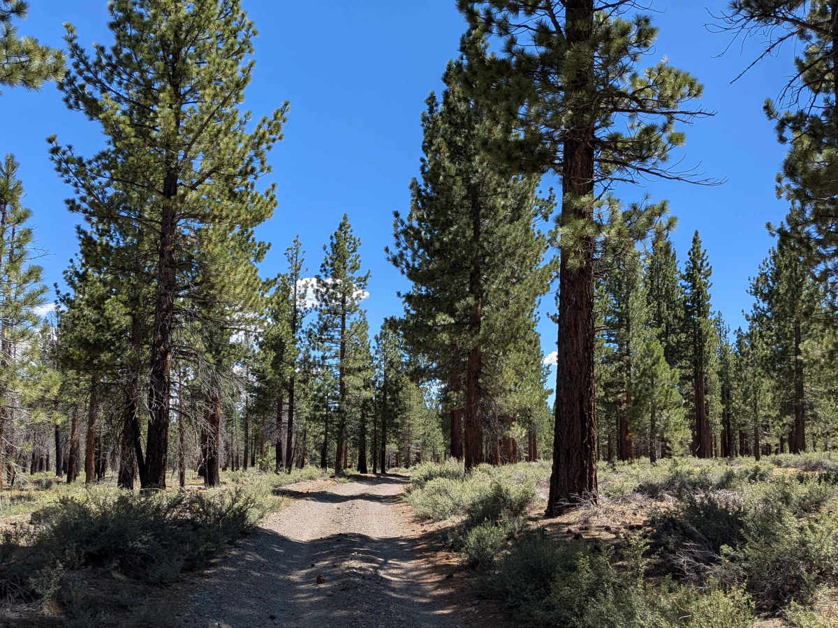 Alpers Canyon Upper FS2S42 photo 2