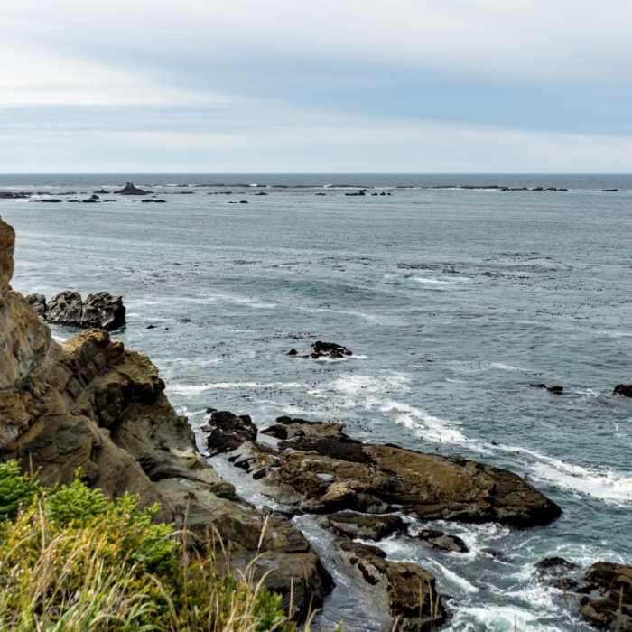 Near Shore Acres State Park to Simpson Overlook