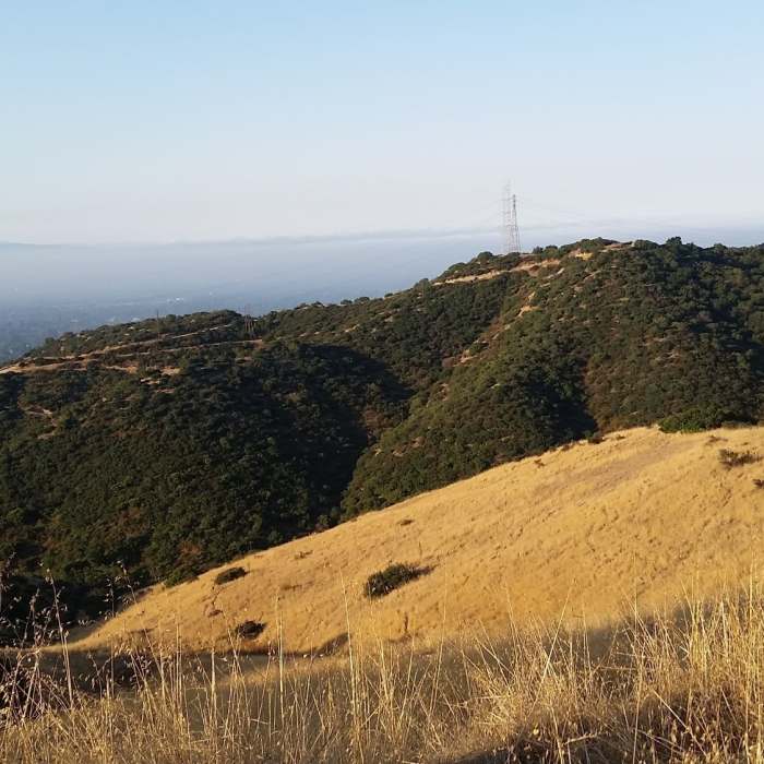 Near Gale Mountain Loop