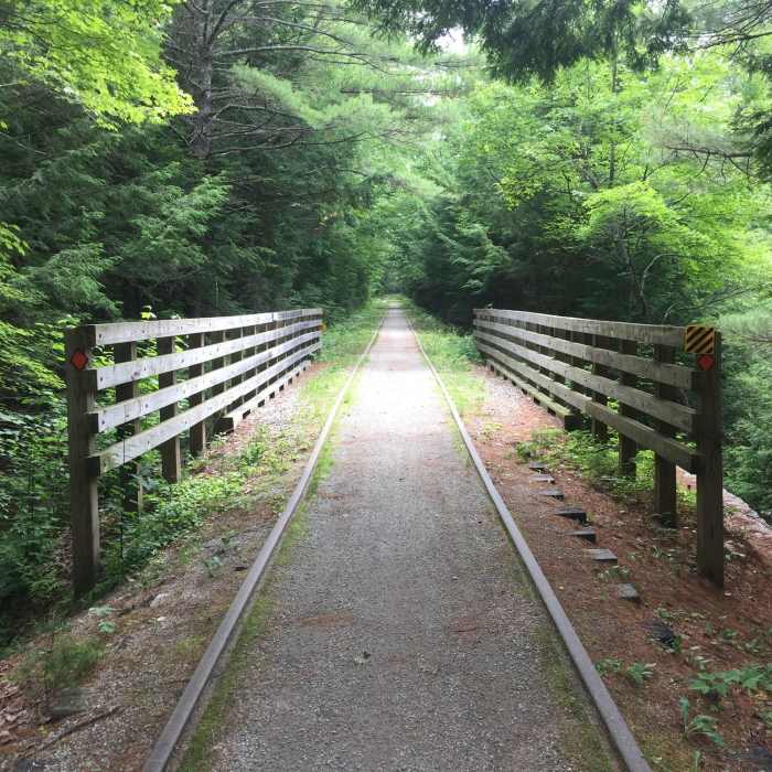 Near Cotton Valley Rail Trail
