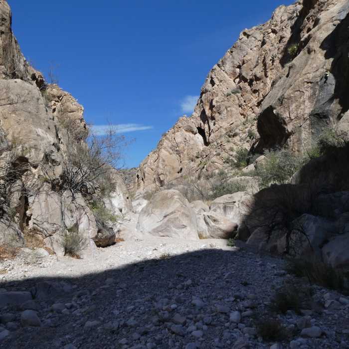 Near Lower Straw House Trail