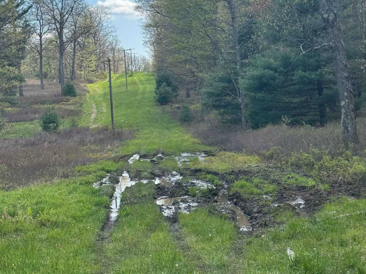 Marks Run Road photo 5