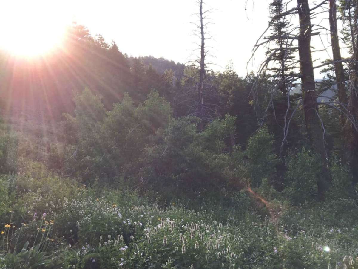 Fleming Canyon photo 5