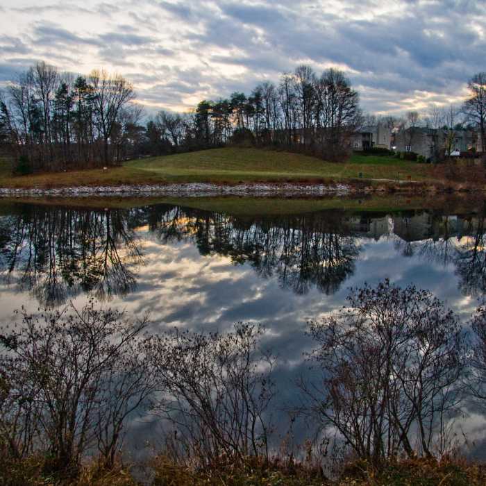 Near Ronald Craven Trail