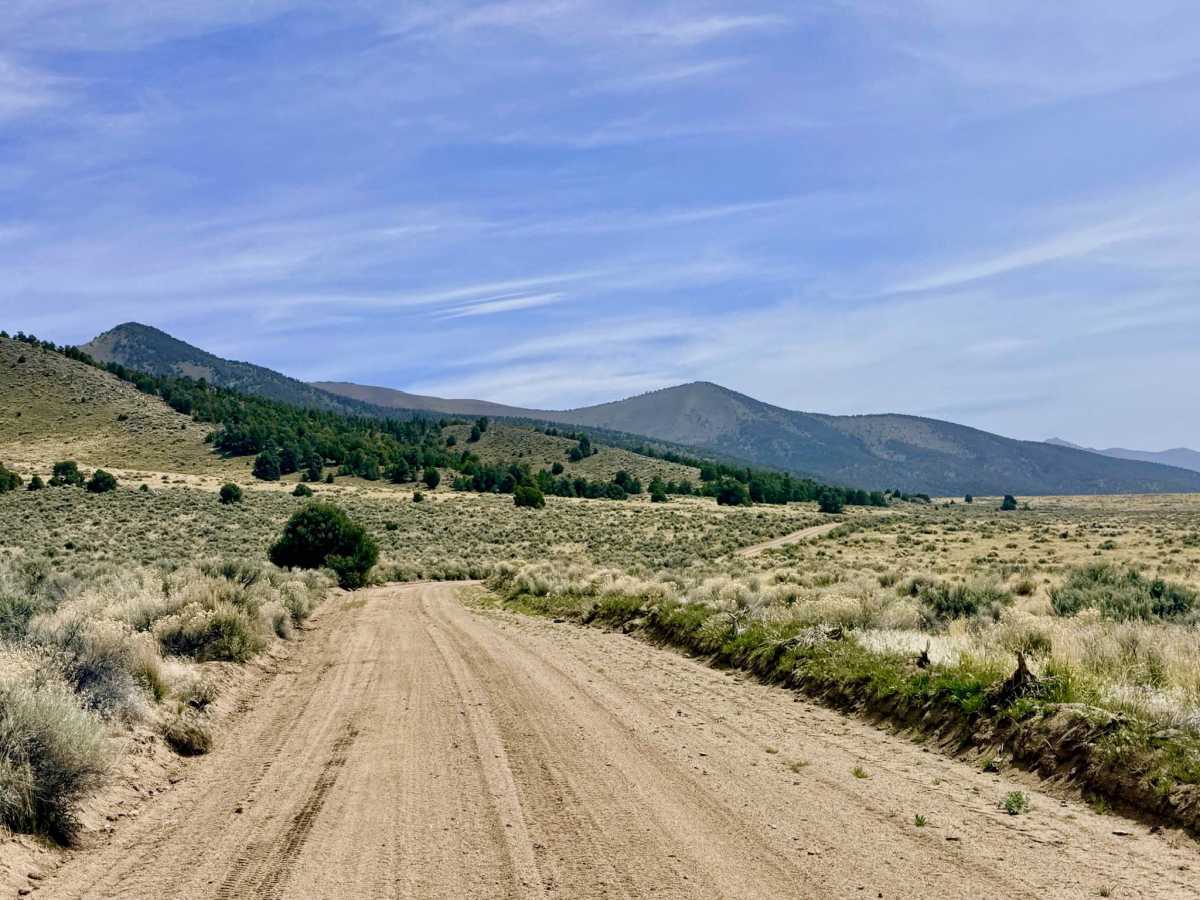 Apex Mine Alternate FS43238 trail photo
