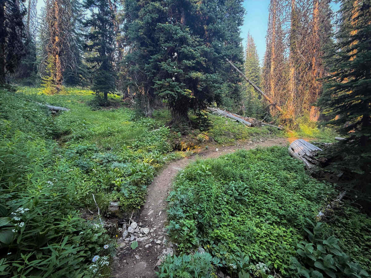 Cub Lake photo 4