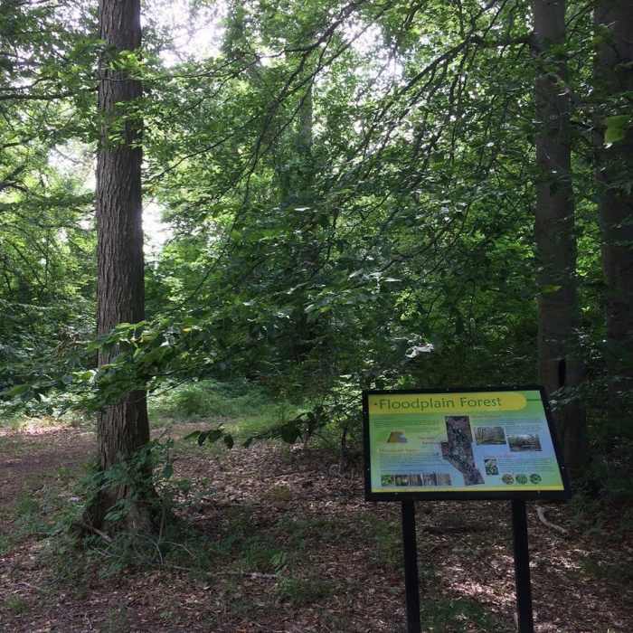 The other entrance to the trail located at the back center of Joe Prance Pocket Park along the tree line. This entrance is closest to the butterfly gardens. Near Joe Prance Nature Trail and Butterfly Gardens