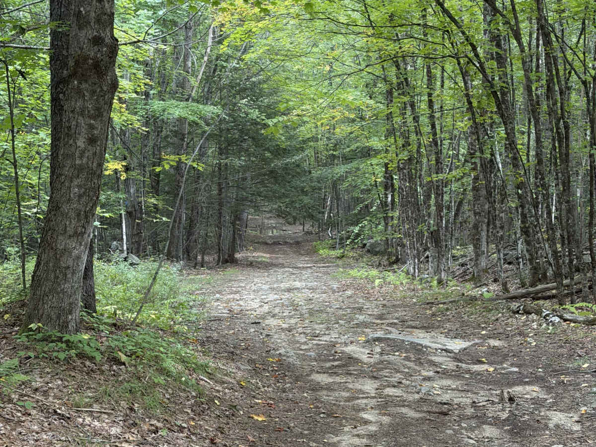 Sawyer Road photo 6