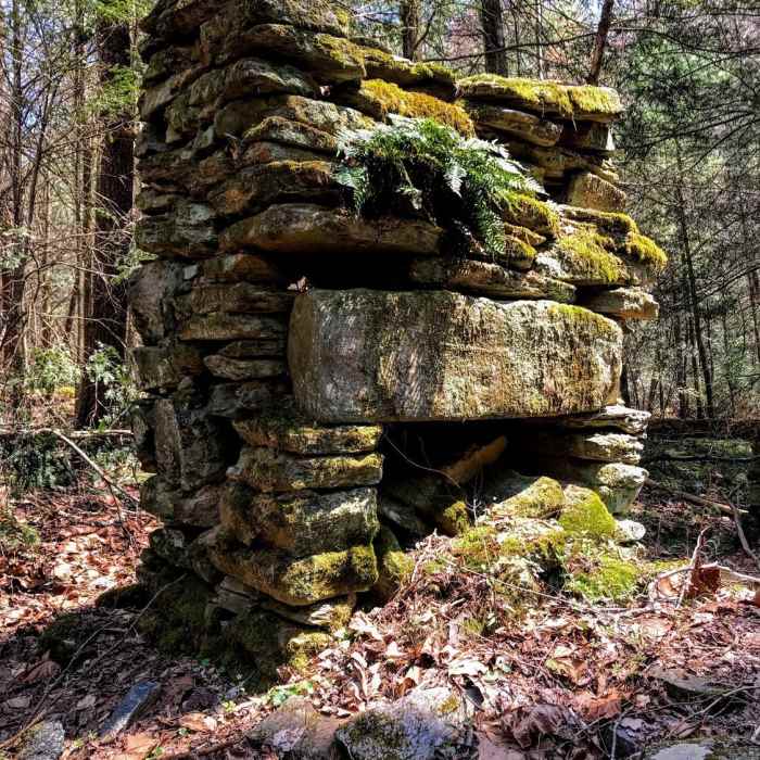 The only remnant of an old homestead Near Basin Creek Trail