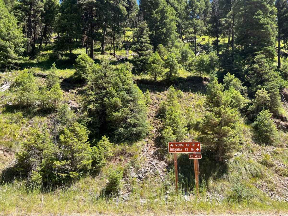 Moose Creek & Trail 40 photo 2