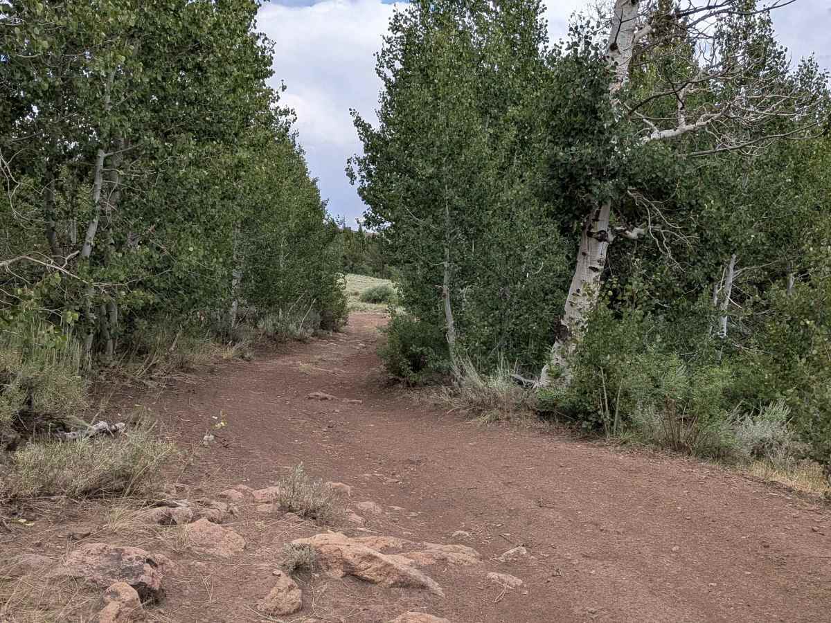 Pass Spur Road - FS 3108B photo 2
