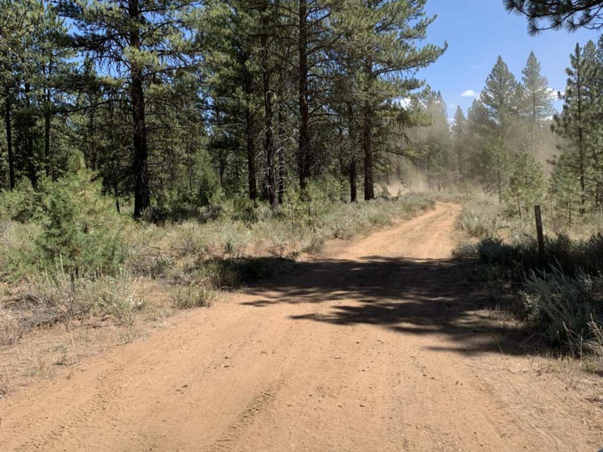 Cub Creek photo 4