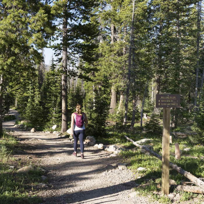 Near Clyde Lake Loop