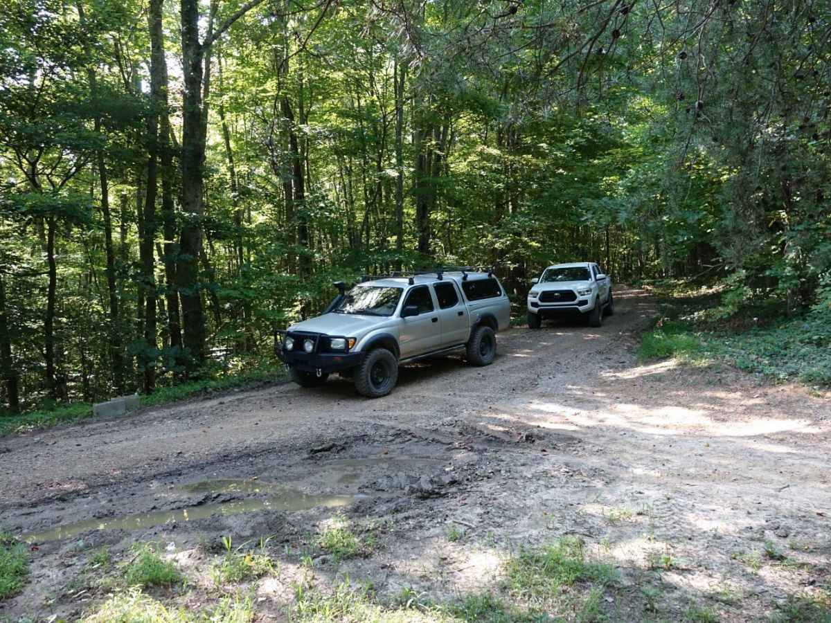 Stephens Knob photo 3