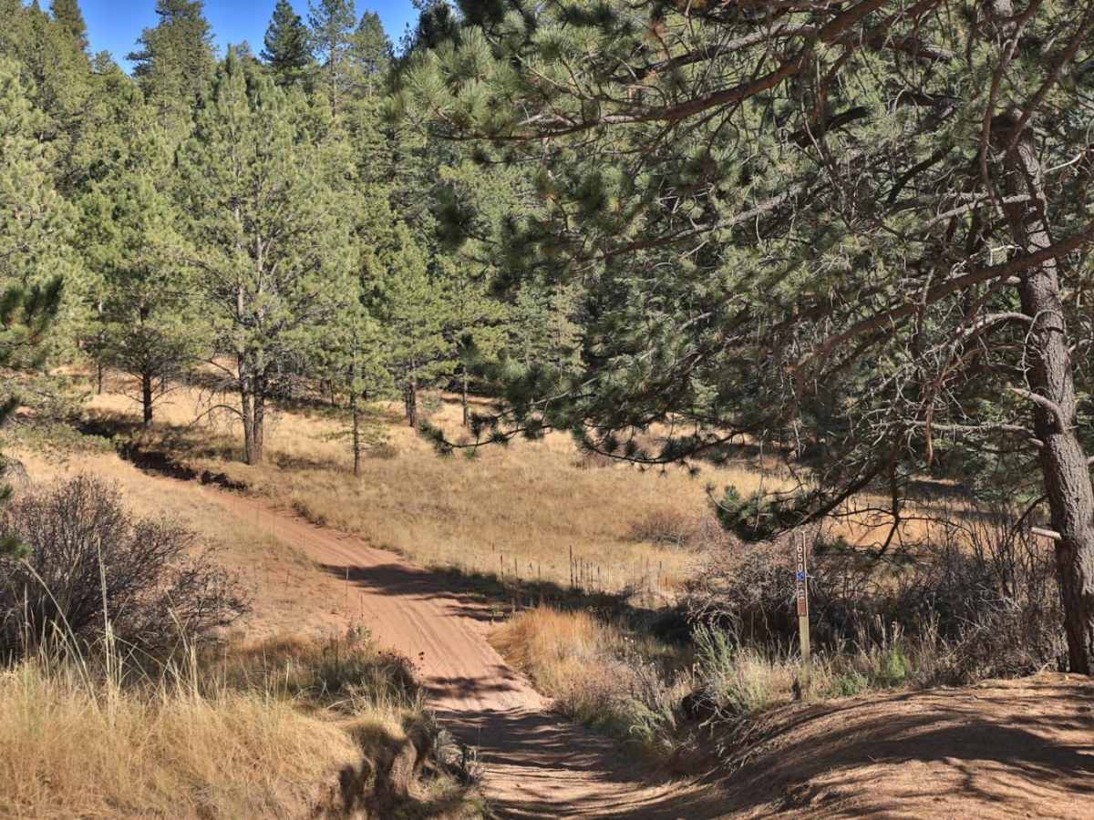 Long Hollow 50-inch Trail (FS 650) photo 2