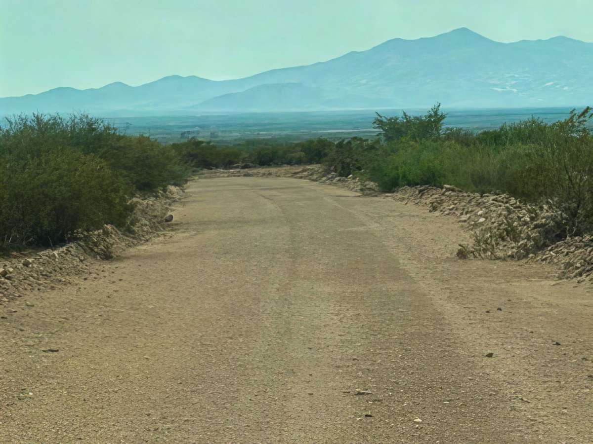 Ss1155 photo 4
