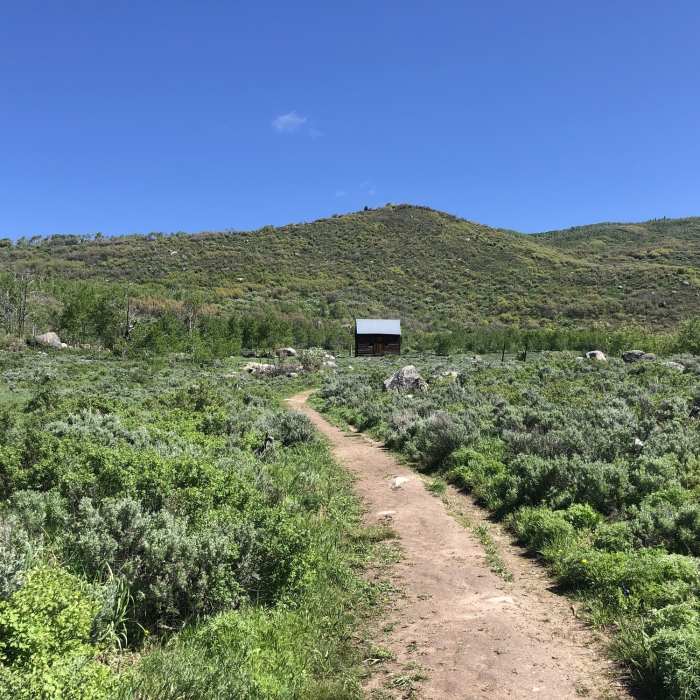 Near Mad Creek Trail