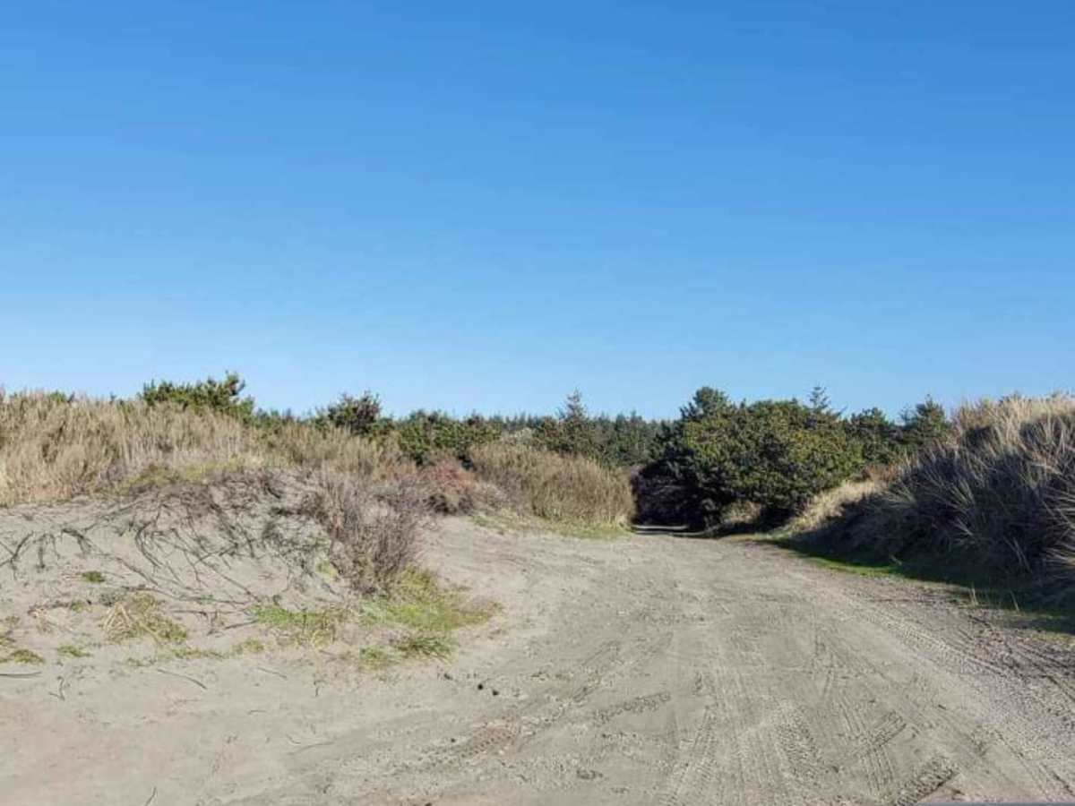 Delaura Dune Trail trail photo