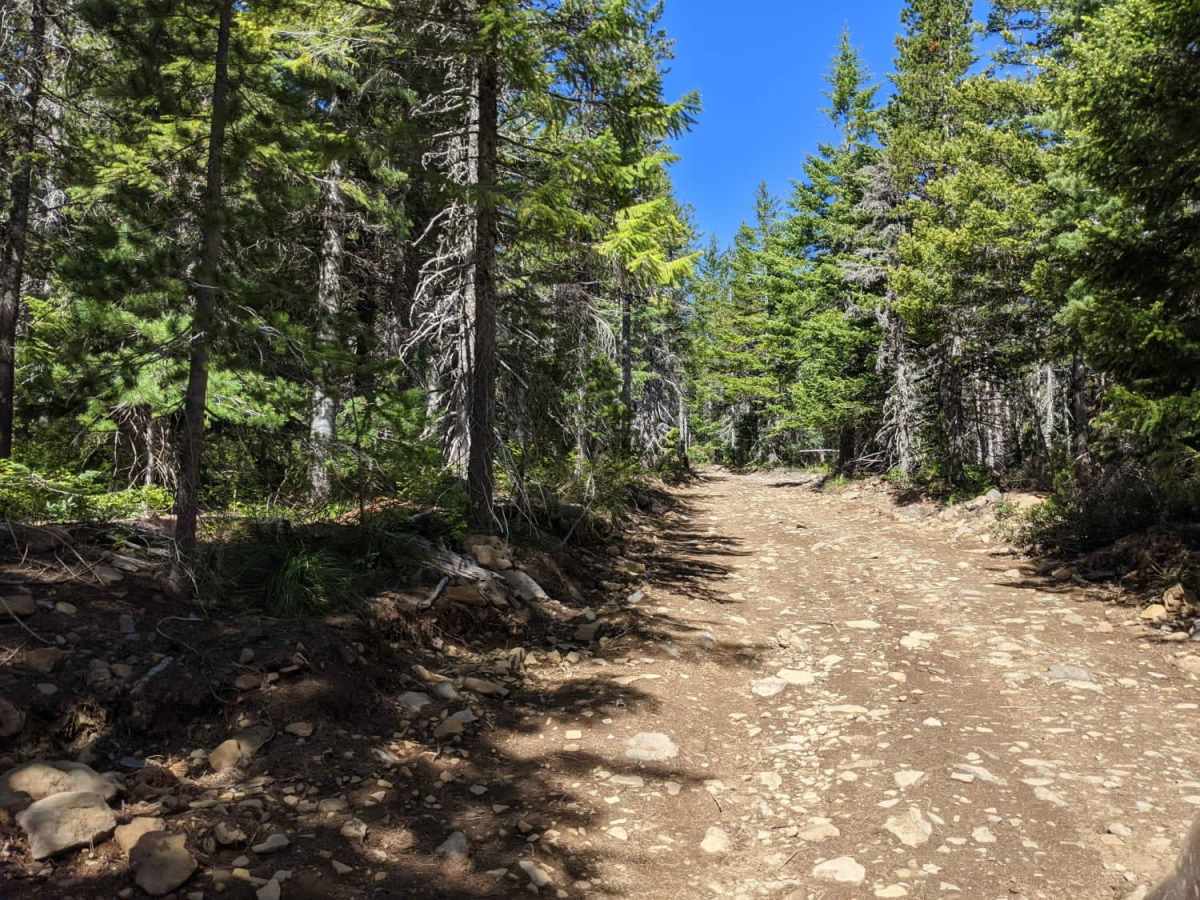 Mount Defiance - NF 2821000 photo 3