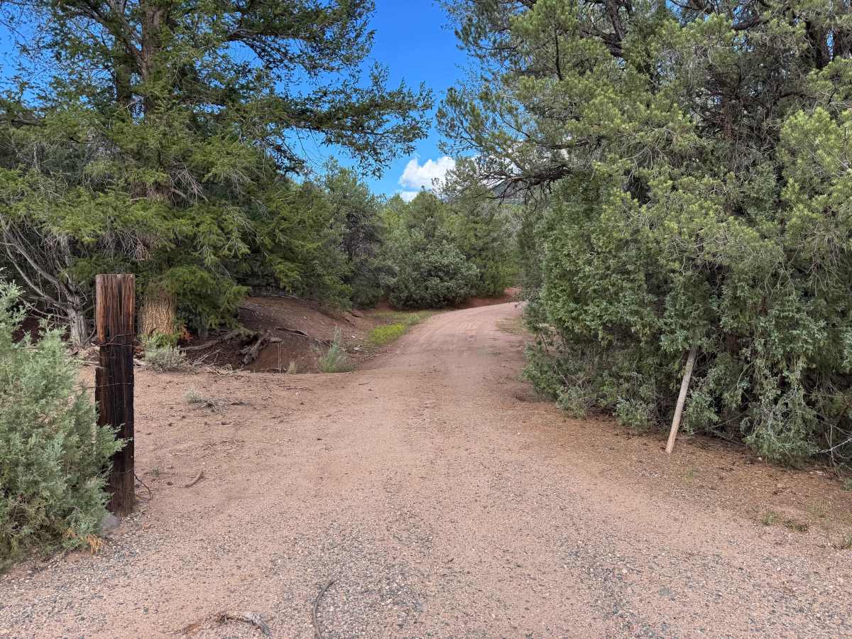 BLM 2723 photo 3