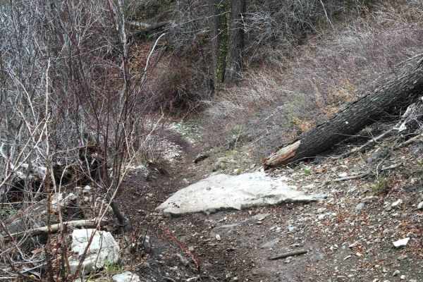 Burns Creek, Hell Hole, and Coalmine Access