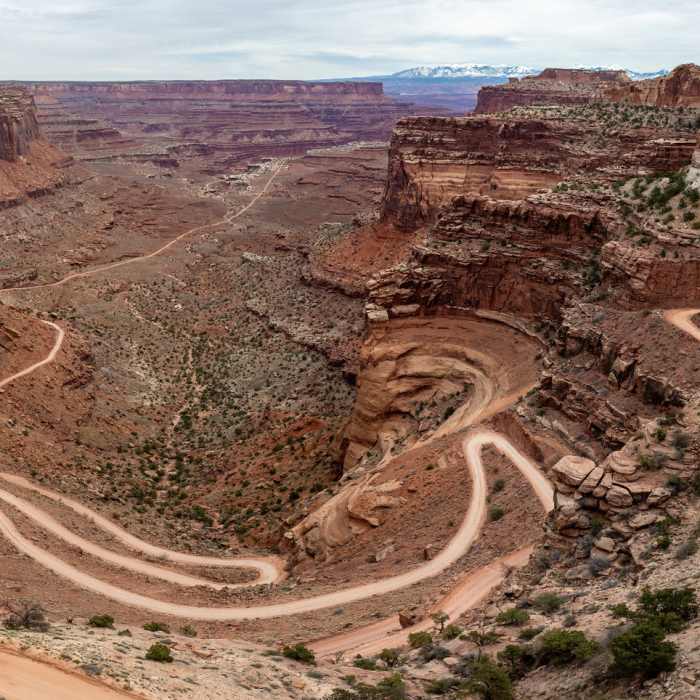Near Neck Spring Trail