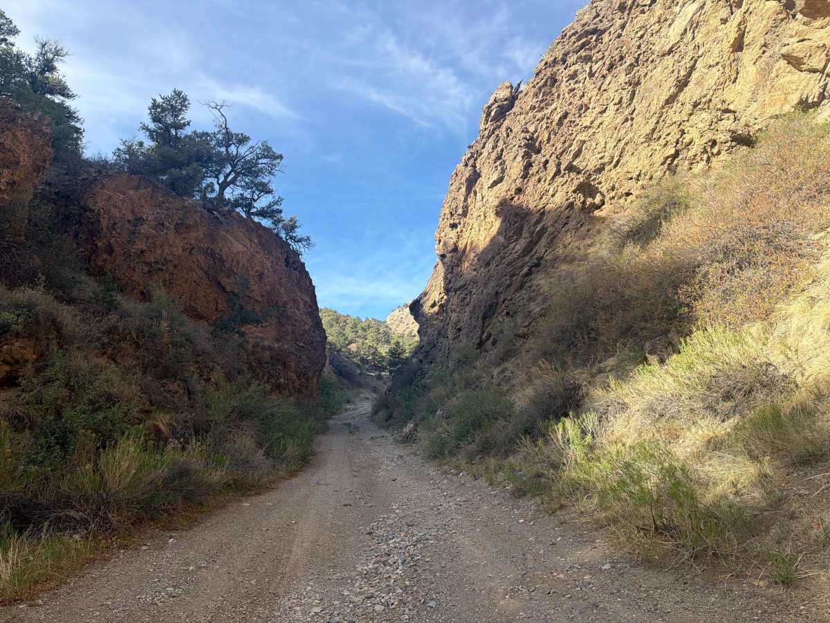 BLM 5971 photo 3
