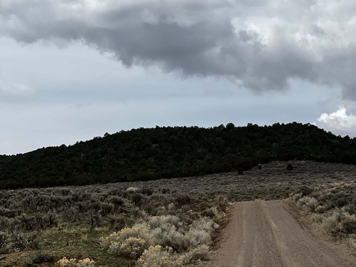 Meadow Valley photo 6