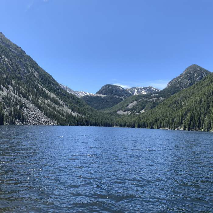 Near Lava Lake Trail #77
