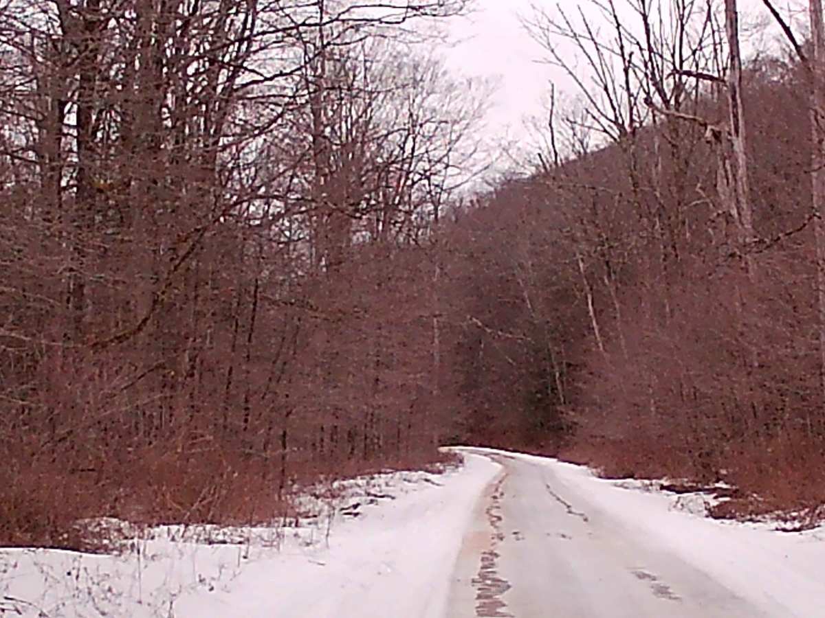Camp Hill Road photo 5