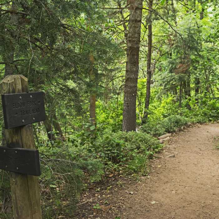 Near Terraces - Elbow Fork Trail