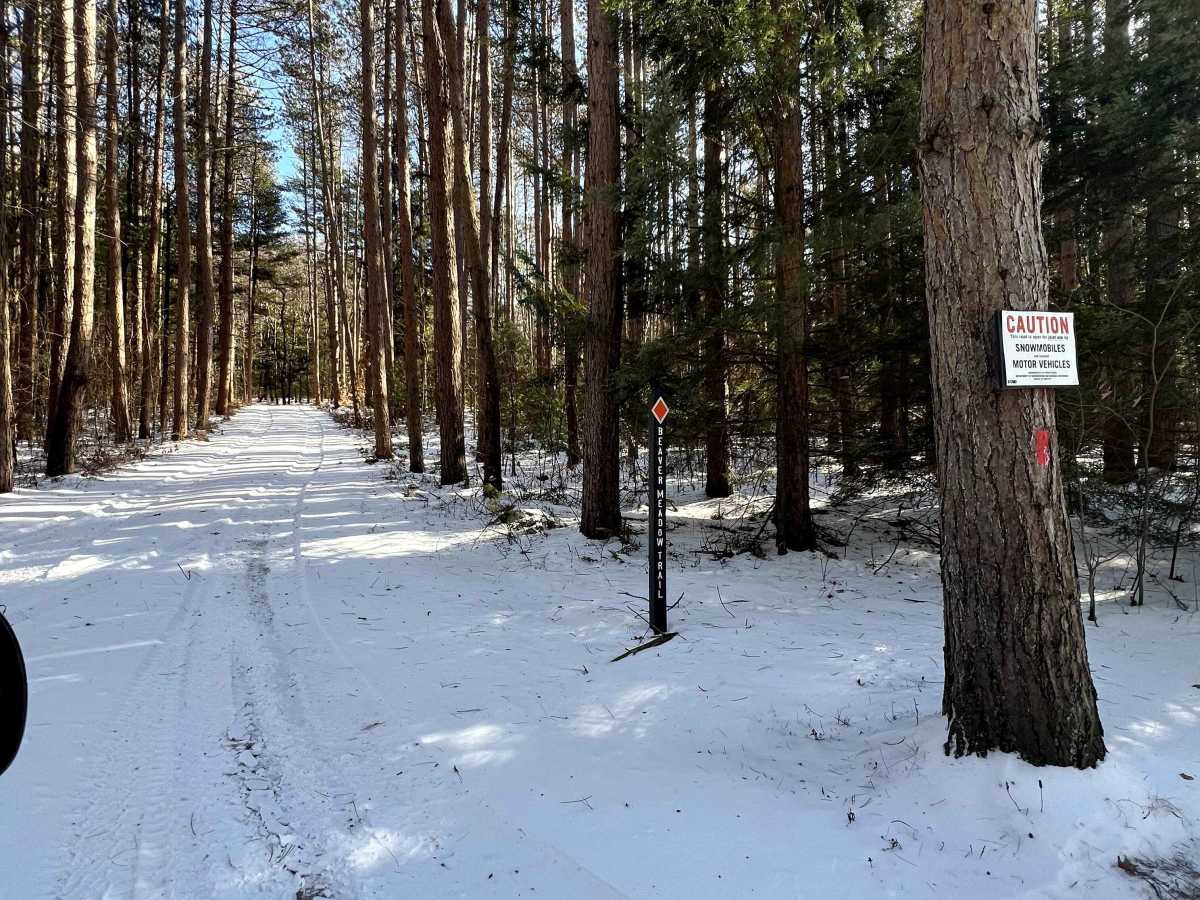 Beaver Meadow Trail trail photo