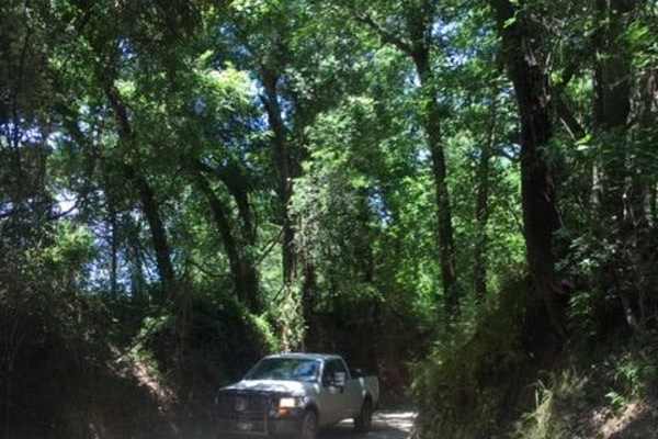 Navasota Headwaters