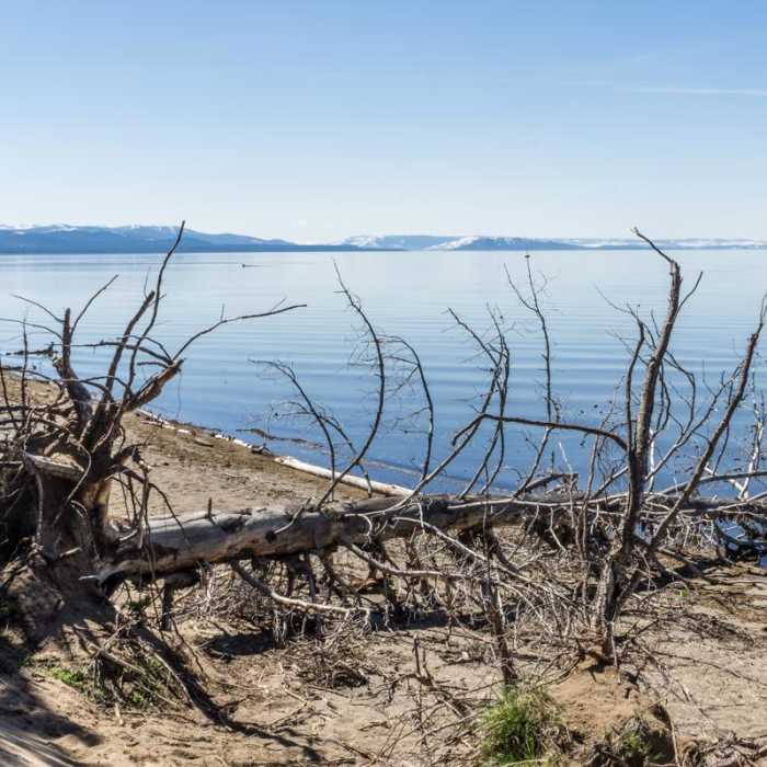 Near Pelican Creek Trail Near Pelican Creek Trail