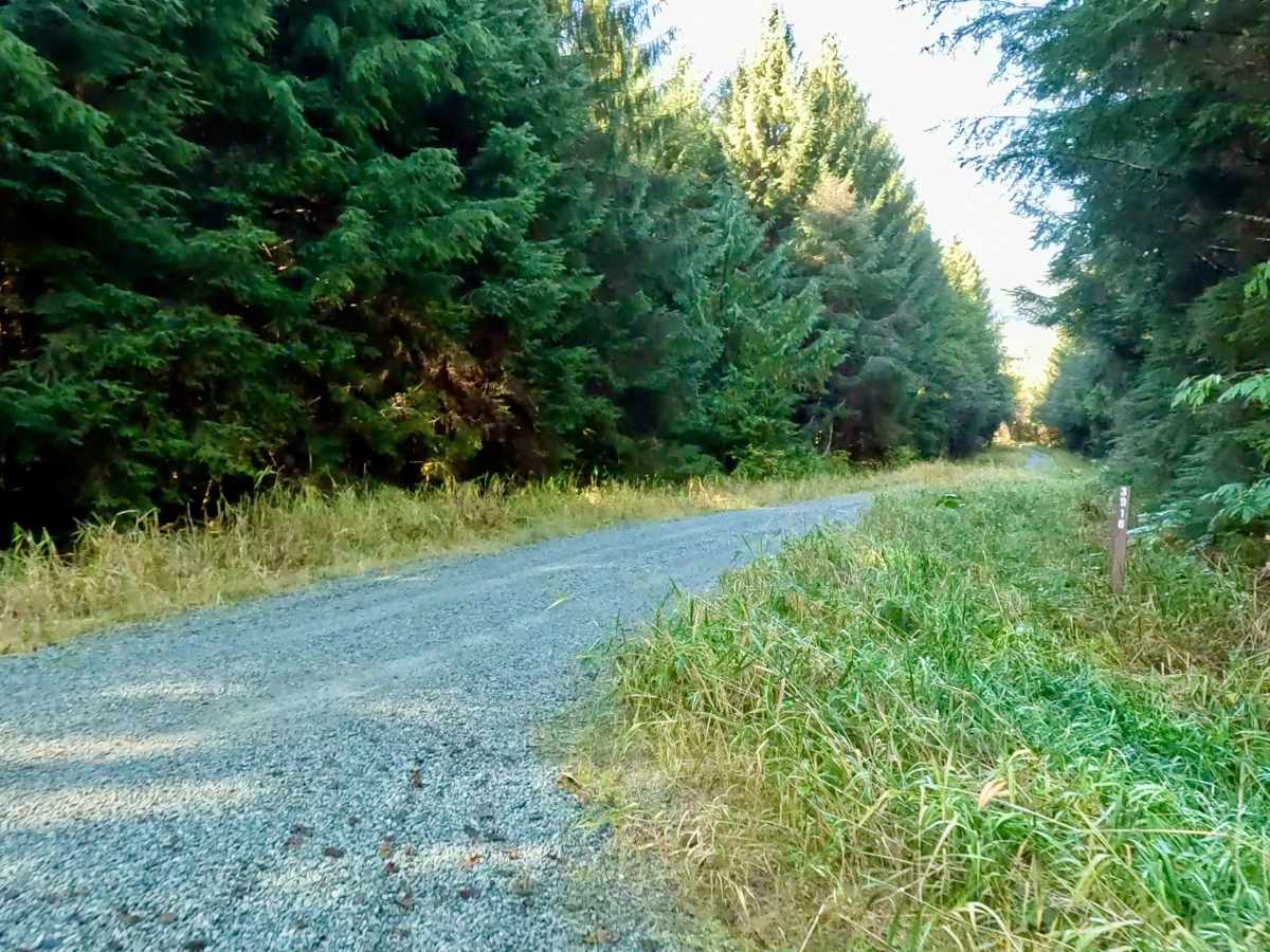 Honker Road - FS 3016000 photo 2