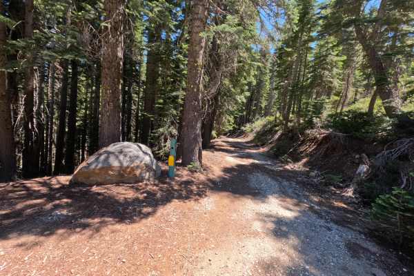 Fir Cap Trail - South Segment - FS 10E22
