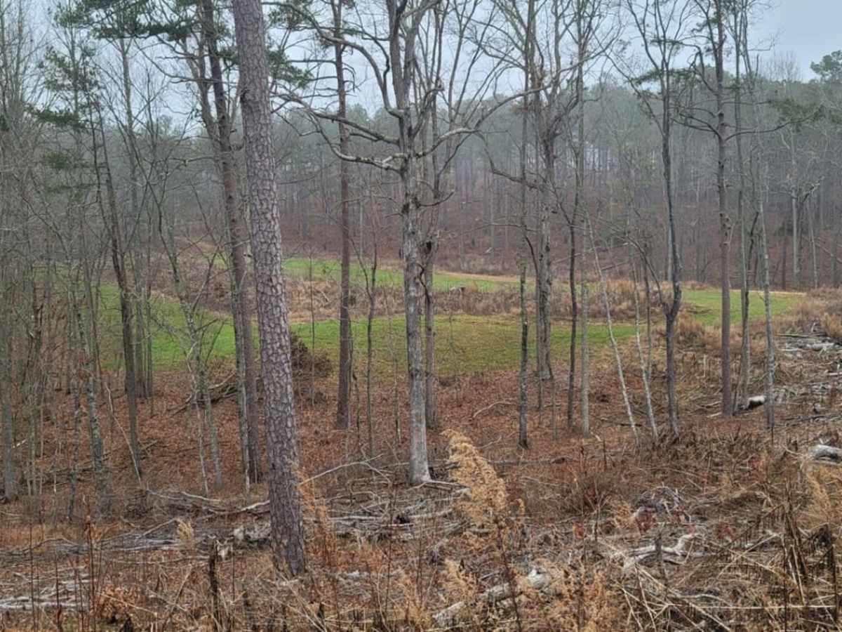 USFSR #548A trail photo