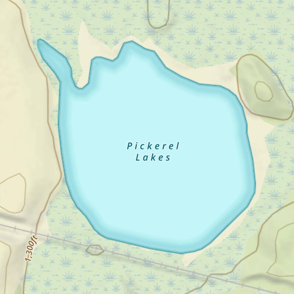 Pickerel Lakes photo