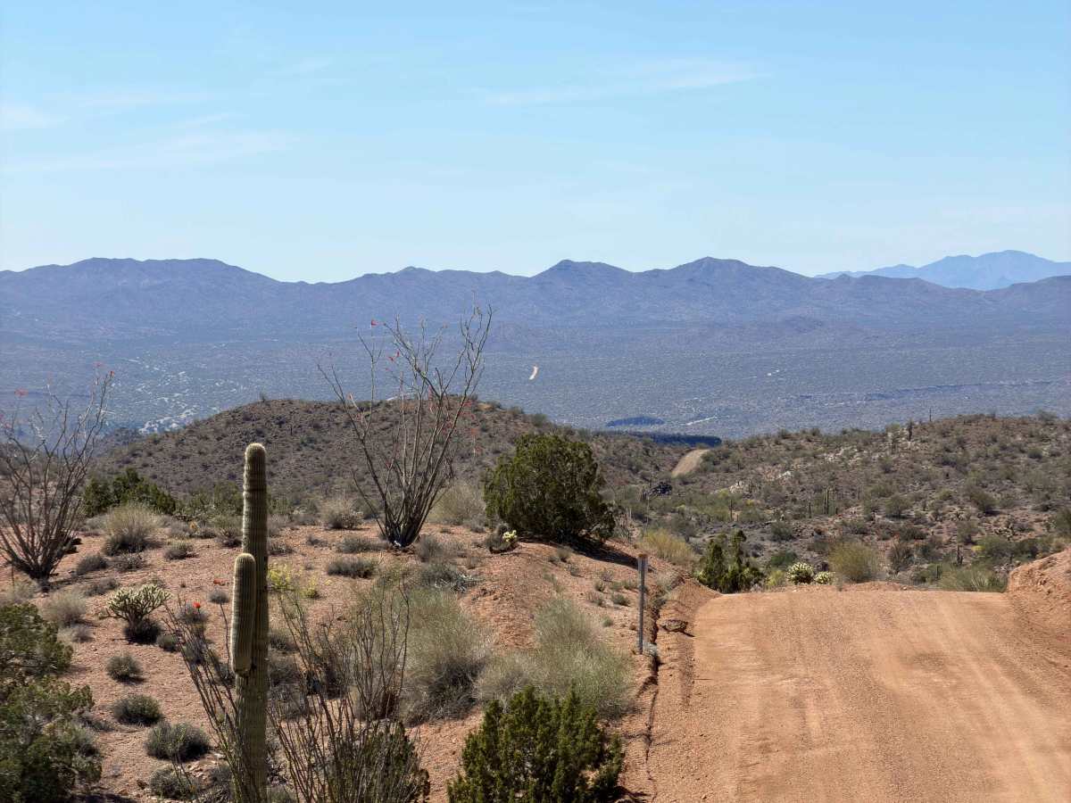 17 Mile Road photo 4