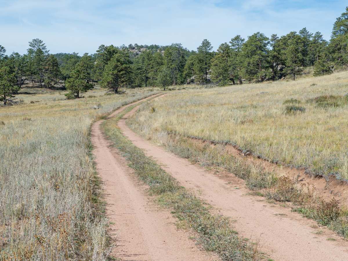 Forest Service Road 181C trail photo