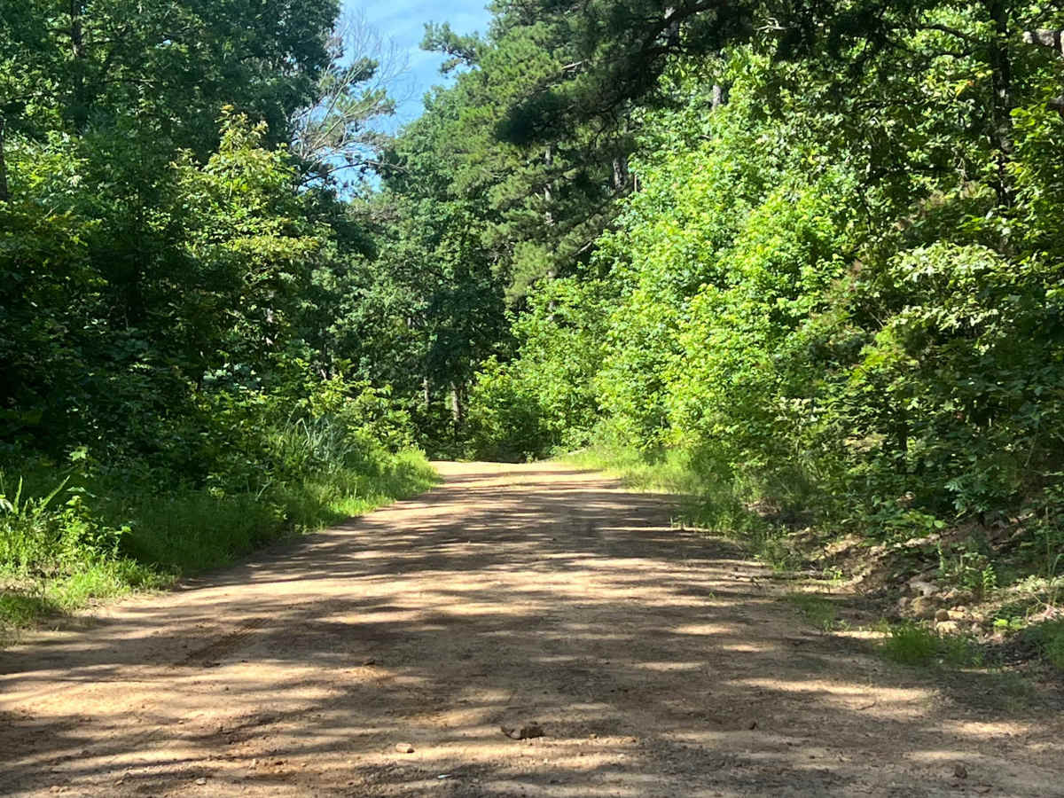 Liberty Springs Road trail photo
