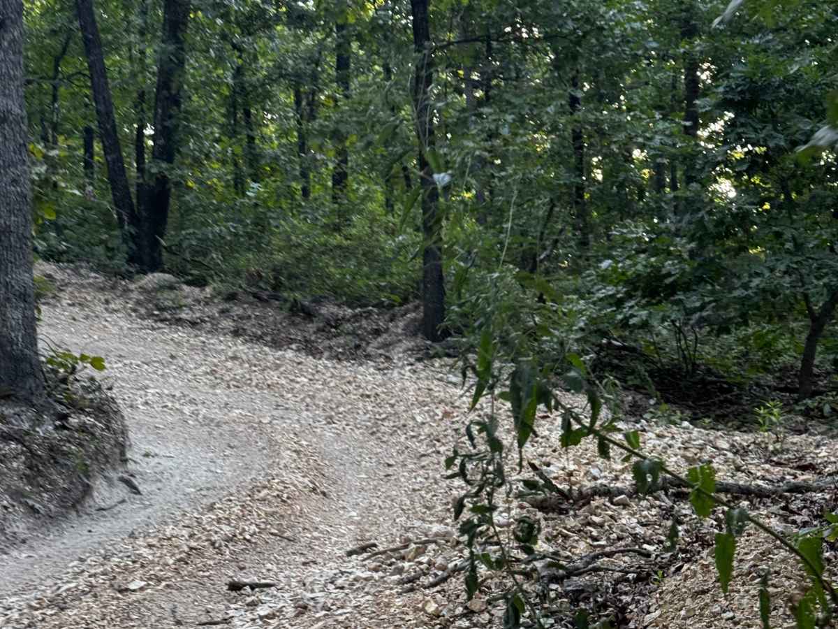 Short Track Hill Climb trail photo
