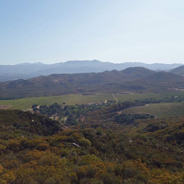 Near Wildhorse Peak Trail #1W02