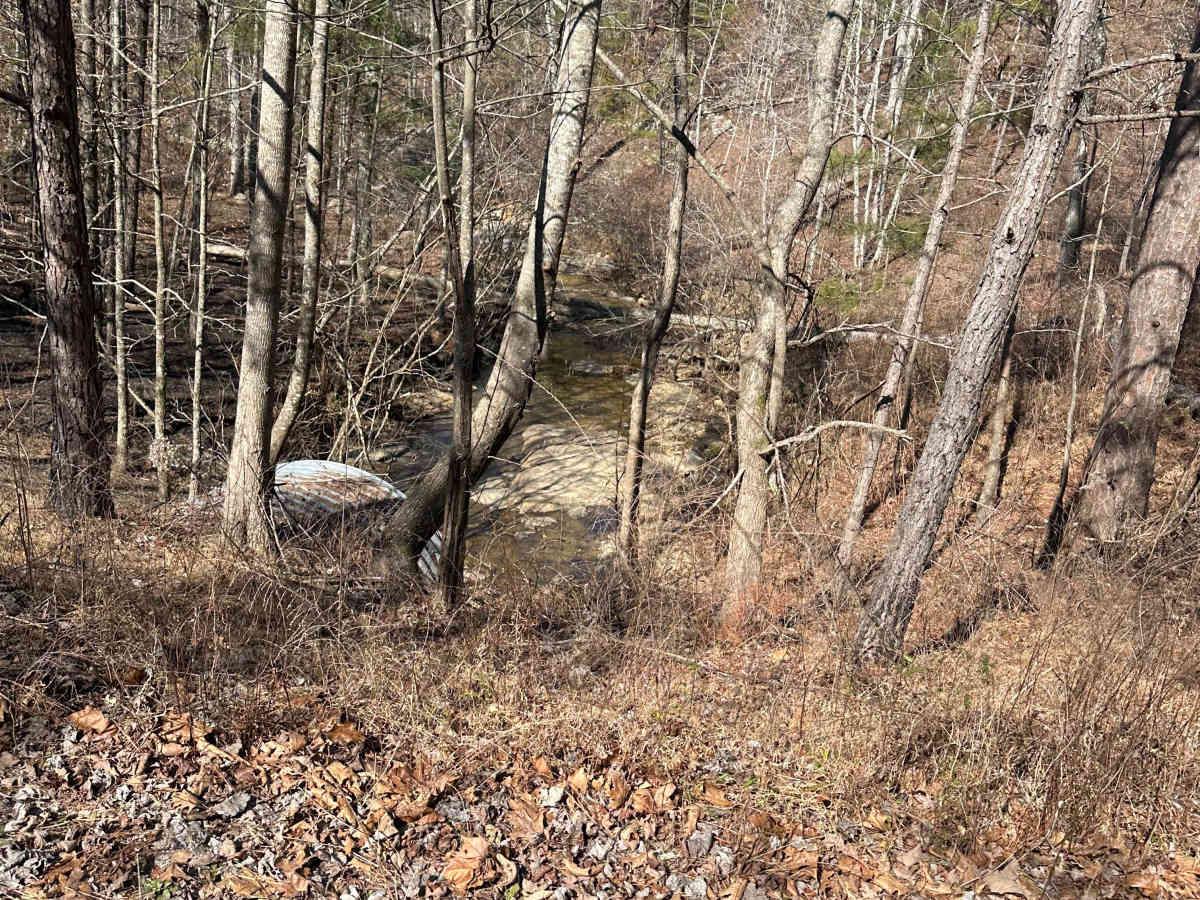 Duck Nest Motorway - FS 651 photo 2