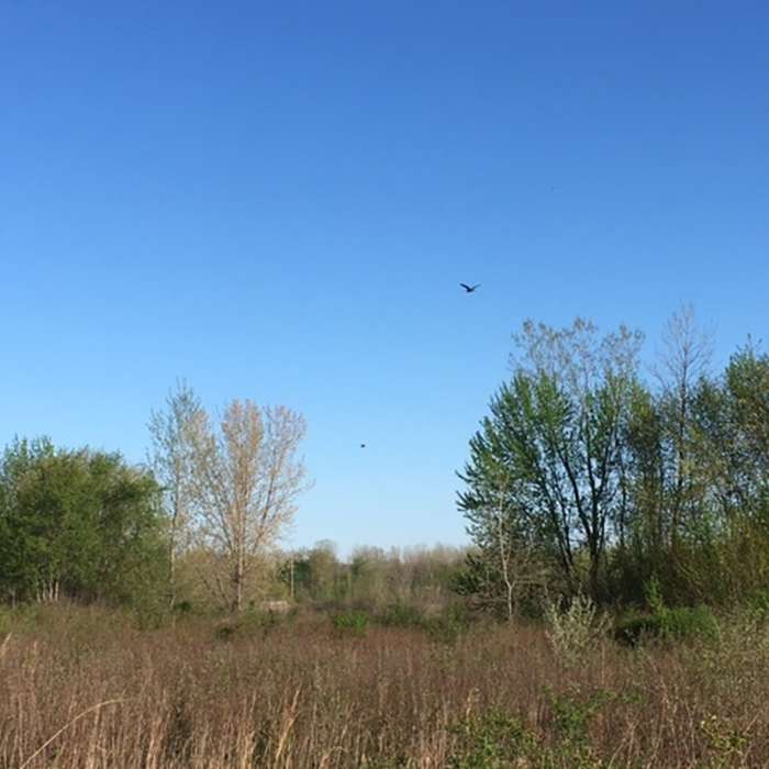 Near Gilmore Ponds Loop