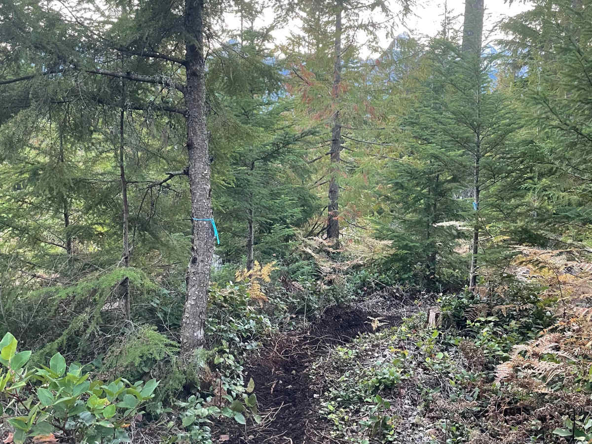 Freshslice trail photo