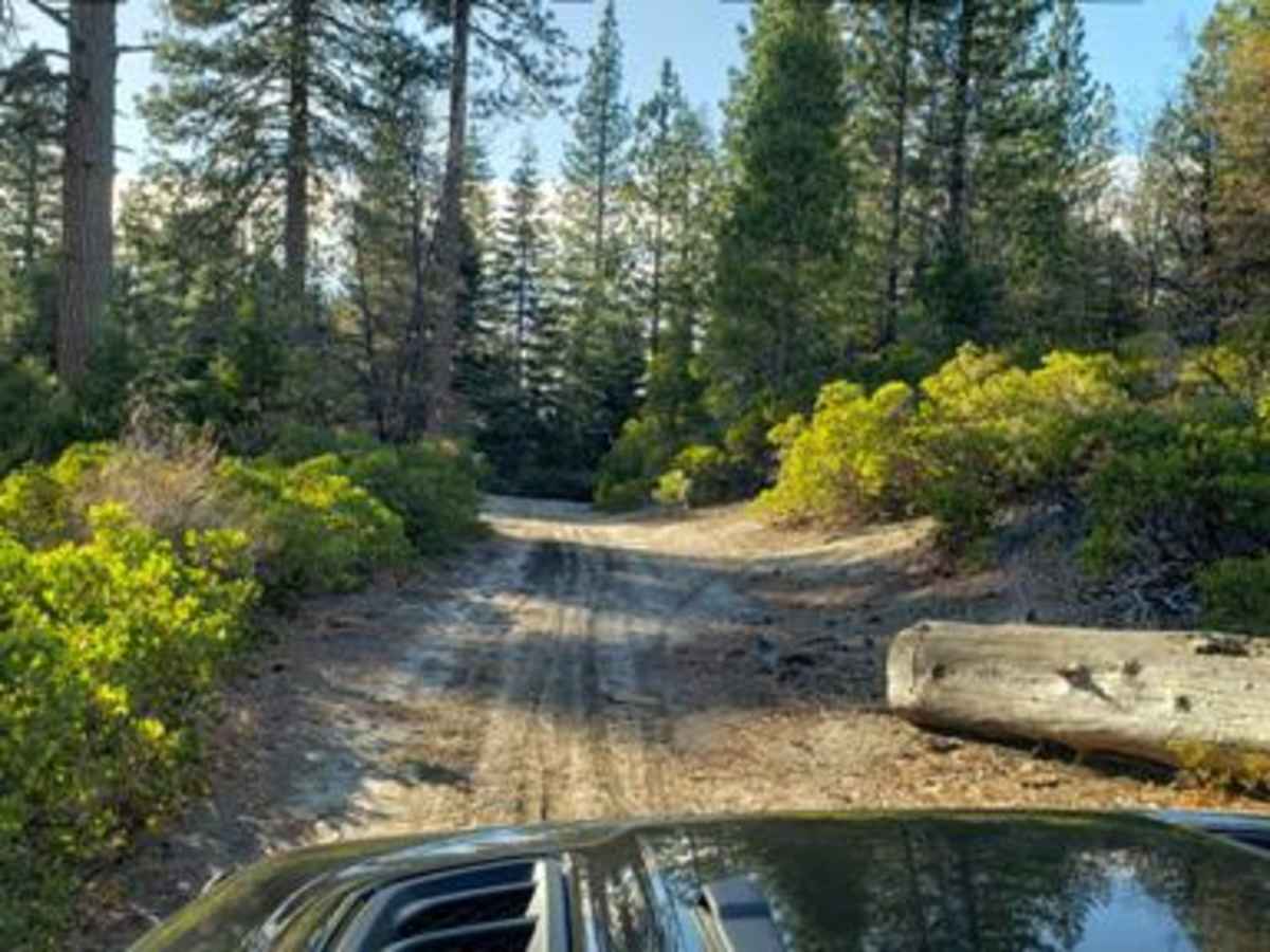 Wrights Lake Rd - 11N26A photo 3
