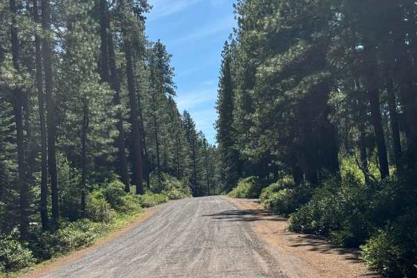Suttle Lake South - FS 2066