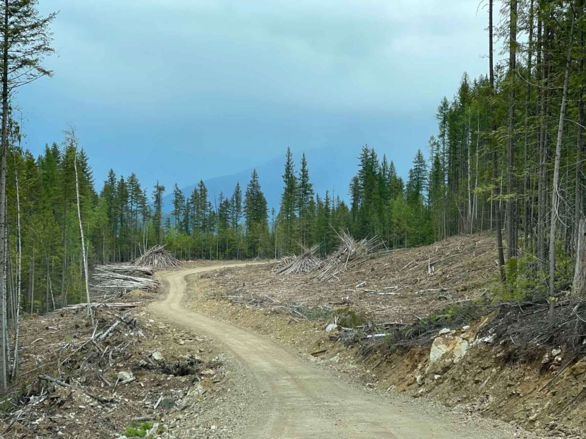 Maks Road photo 3